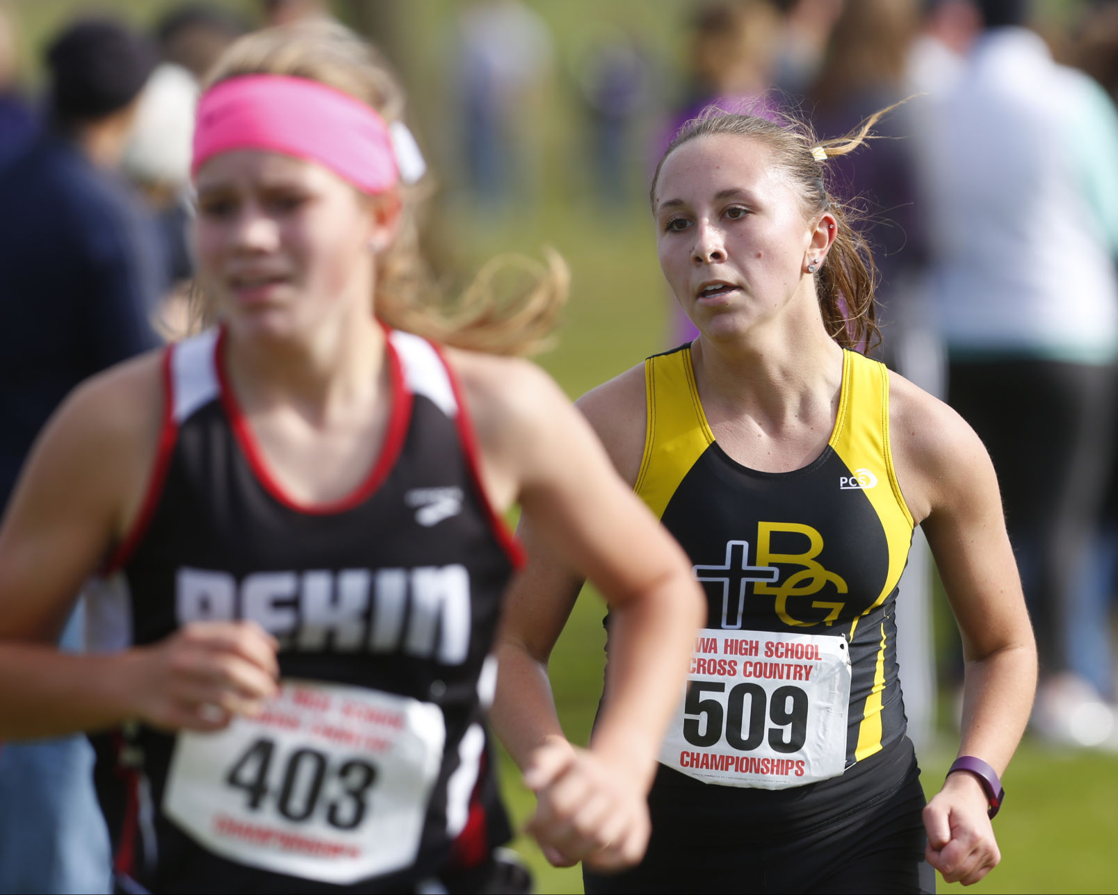 2016 State Cross Country Meet